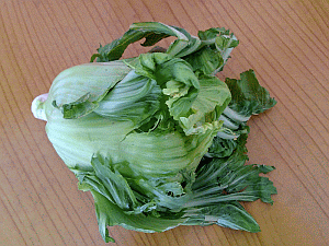 Image: Choi What, a sort of thick open cabbage - Click to Enlarge