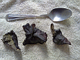Image: Mok Yue is actually a dried leaf, although it looks like and is treated like seaweed or fungus - Click for Details