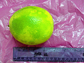 Image: *Chang* are a lemon/lime that tastes like grapefruit. Ideal for sour cooking - Click for Details