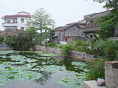 Image: Village Pond - Click to Enlarge