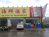 Image: Turtle Restaurant