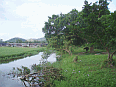 Image: View Over Irrigation Channel and Rice Fields - Toisan
