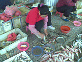 Image: Descaling and filleting fish
